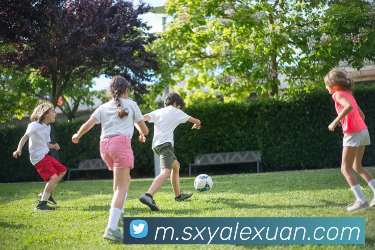 乐竞在线登录入口平台生态图